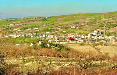 4400مترباغ شلیل درجه یک7ساله باچاه آب قطره ای استخرآب