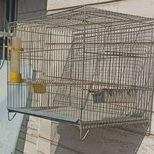 قفس پرنده با کفی