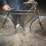 دوچرخه فونیکس سایز 28