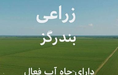 7هکتار زمین زراعی