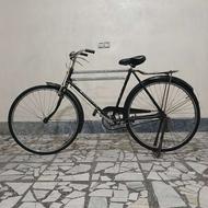 دوچرخه فونیکس سایز 28
