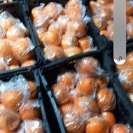 تامسون انباری