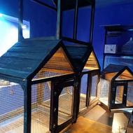 قفس طوطی فنچ قناری کبوتر کفتر چوبی و فلزی