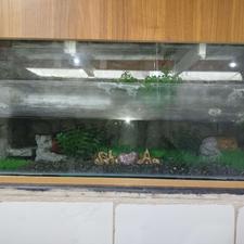 آکواریوم ......