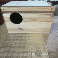 لانه ی بزرگ پرنده