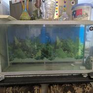 فروش شیشه اکواریوم