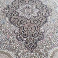 فرش 12 متری 700 شانه مشهد