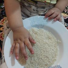 برنج طارم هاشمی کشت اول درجه یک