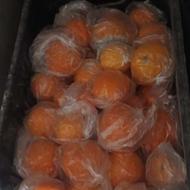 پرتقال( انباری) تامسون نایلون پیچ شده