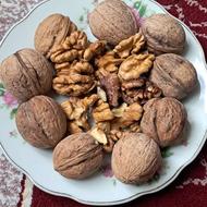 گردو سالم و تازه