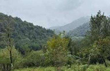 زمین مسکونی ویو دار خوش قیمت