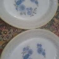 دوعدد دیس قدیمی آرکوپال