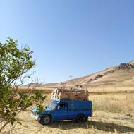 خرید چوب به قیمت روز