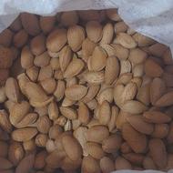 بادام سنگی شیرین مغز پر