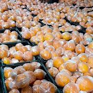 فورش تامسون و خونی انباری برای فورش