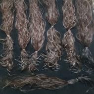 320 شاخه مو طبیعی