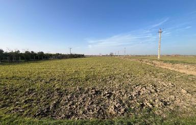 فروش زمین کشاورزی 21000 متر در مرکز شهر