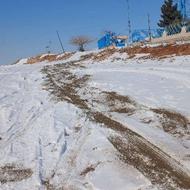 هم ویلا هم باغ