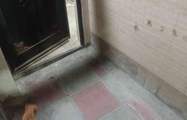 خانه 50 متری ویلایی