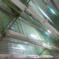 قفس بلدرچین