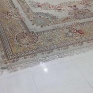 فرش 12متری نگین مشهد