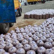 ذرت سیلو شده وکیوم پلاستیک خیاری سبوس