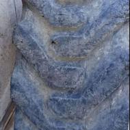 لاستیک بیل بکهو نیوهلند