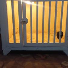 قفس مخصوص انواع پرندگان