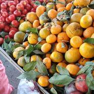 شاگرد میوه فروشی