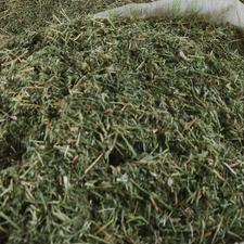 یونجه خرد شده یا کوبیده ریز برای دام