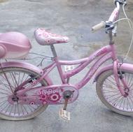 دوچرخه دخترانه شماره 20
