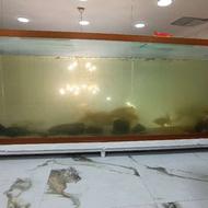 فروش آکواریوم با ماهی هاش