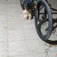 دوچرخه سواری