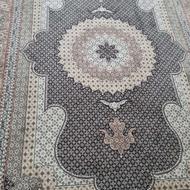 یک عدد فرش 6متری