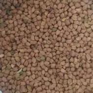 نخود قرمز امسال