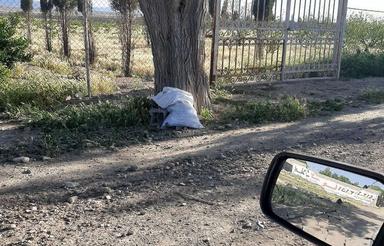 باغچه 250 متری تنکمان