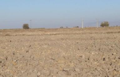 زمین باغی چسبیده به بافت