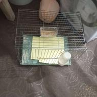 یک جفت کبوتر نروماده پرشی و قفس فوری فوری