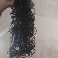 کیلیپس مویی فر استیشن بافت