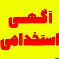 استخدام نیرو محدود با درآمد بالا