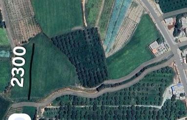 زمین کشاورزی در نزدیکی روستای مهماندار