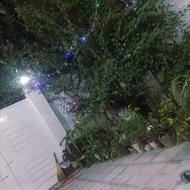 خرید نان و از سوپر مارکت خونه