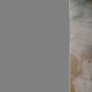 فروش علف زن برقی