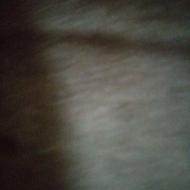 جویای کار هستم