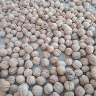 گردوکاغذی محصول امسال