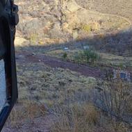 بیل مکانیکی