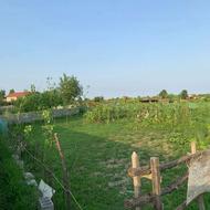 زمین به مساحت590متر.درگیلان تالش شهراسالم