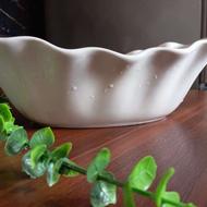 میوه خوری آک