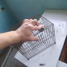 قفس پرنده کوچک