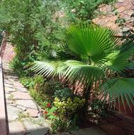 انجام کارهای نظافتی هرس و بیلزنی